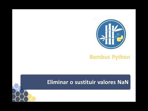 Manejo de valores NaN en Python con floats