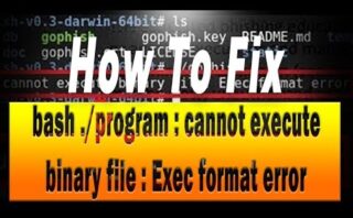 Solución de cannot execute binary file linux