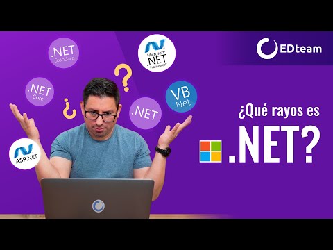 El significado de NET: ¿Qué significa?