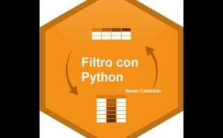 Filtrar columnas de un DataFrame en Python que contienen una cadena