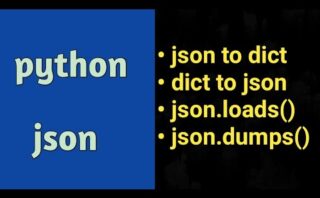 Funcionamiento de json.loads en Python