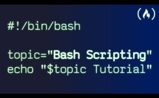 Diferencias entre Bash scripting y Shell scripting