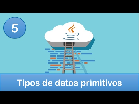 Tipos de datos primitivos en programación