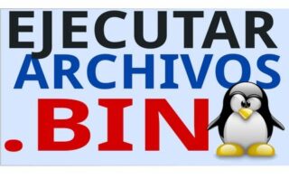 Cómo ejecutar un archivo bin en Linux