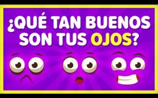 Diferencias entre un test y un quiz: ¿Cuál es la distinción?