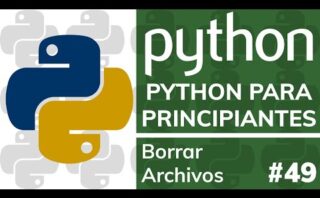 Eliminar directorio con archivos en Python