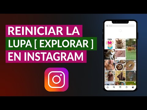 Reinicia el algoritmo de Instagram: Guía completa.