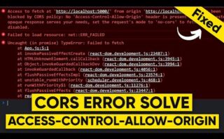 Solución de error CORS origin \'null\': Here's how to fix it