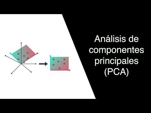 Análisis PCA: ¿Qué es y cómo funciona?