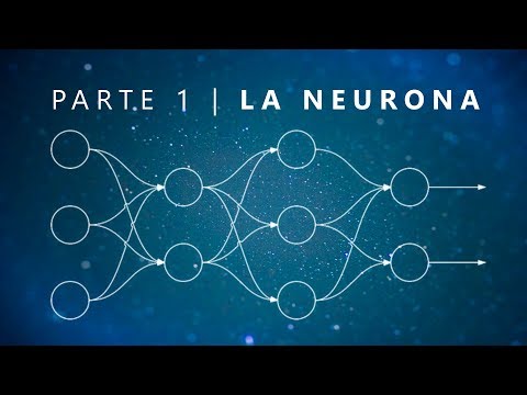 ¿Qué es una red neuronal?