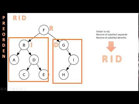 Recorrido en preorden de un árbol binario